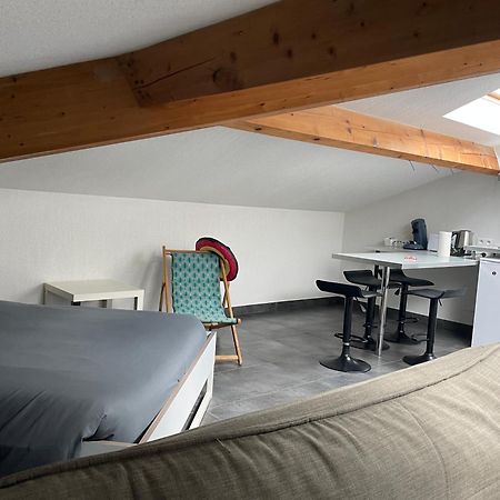 Studio7 Proche Fac Climatise Albi Exterior photo